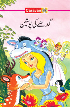 Fun to read series - Donkey Skin (Urdu)