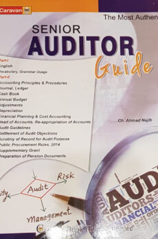 Senior Auditor Guide